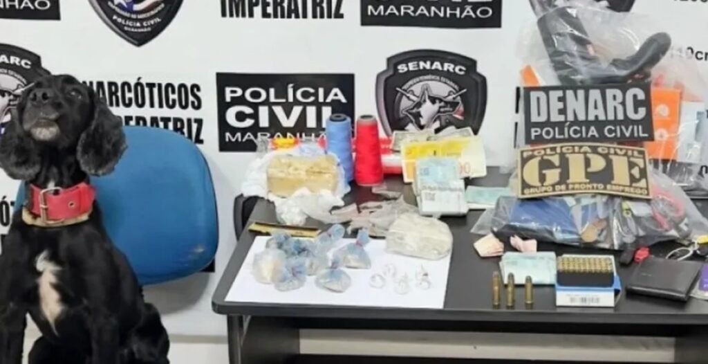 Imagem do artigo