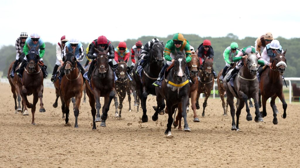 Maxi King em Busca da Coroa: Corridas em Newcastle e Yarmouth Imagem do artigo