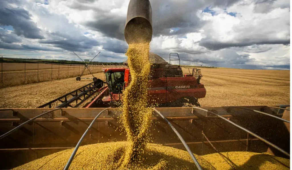 Agronegócio: De Recordes em 2025 a Possível Estagnação em 2026; Entenda as Projeções