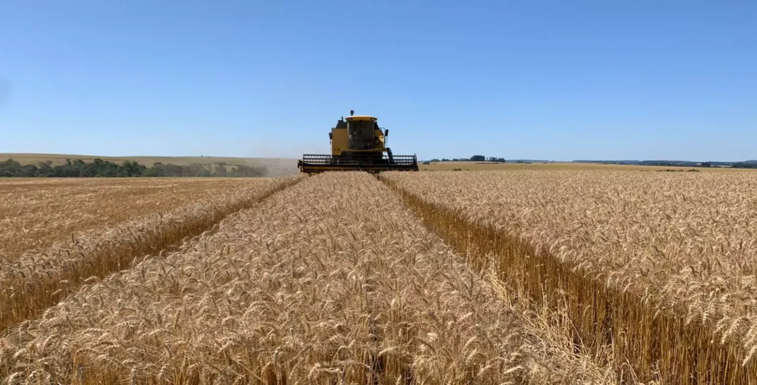 Aumento da Inadimplência no Agronegócio: Impactos nos Bancos e Restrição de Crédito