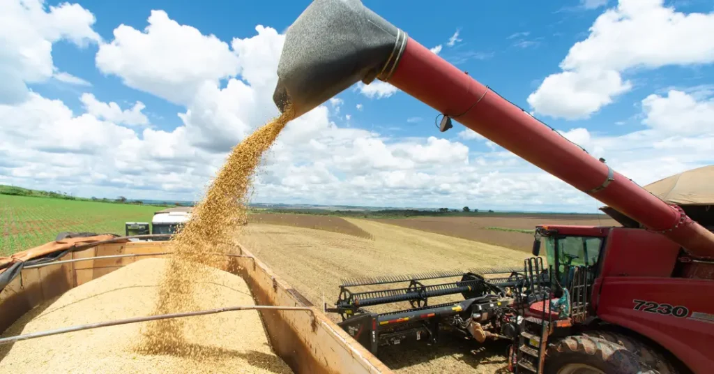 Previsões do Agronegócio até 2026: Um Desafio Para o Governo Lula