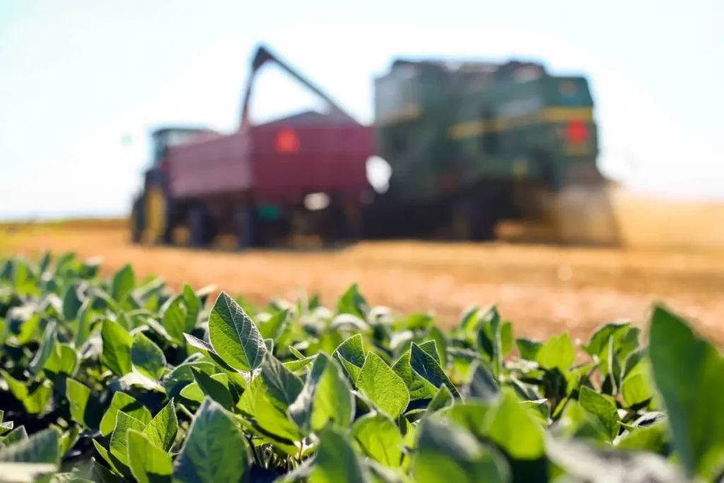 Agronegócio Brasileiro em Risco: Novas Taxas dos EUA Ameaçam Setor Vital