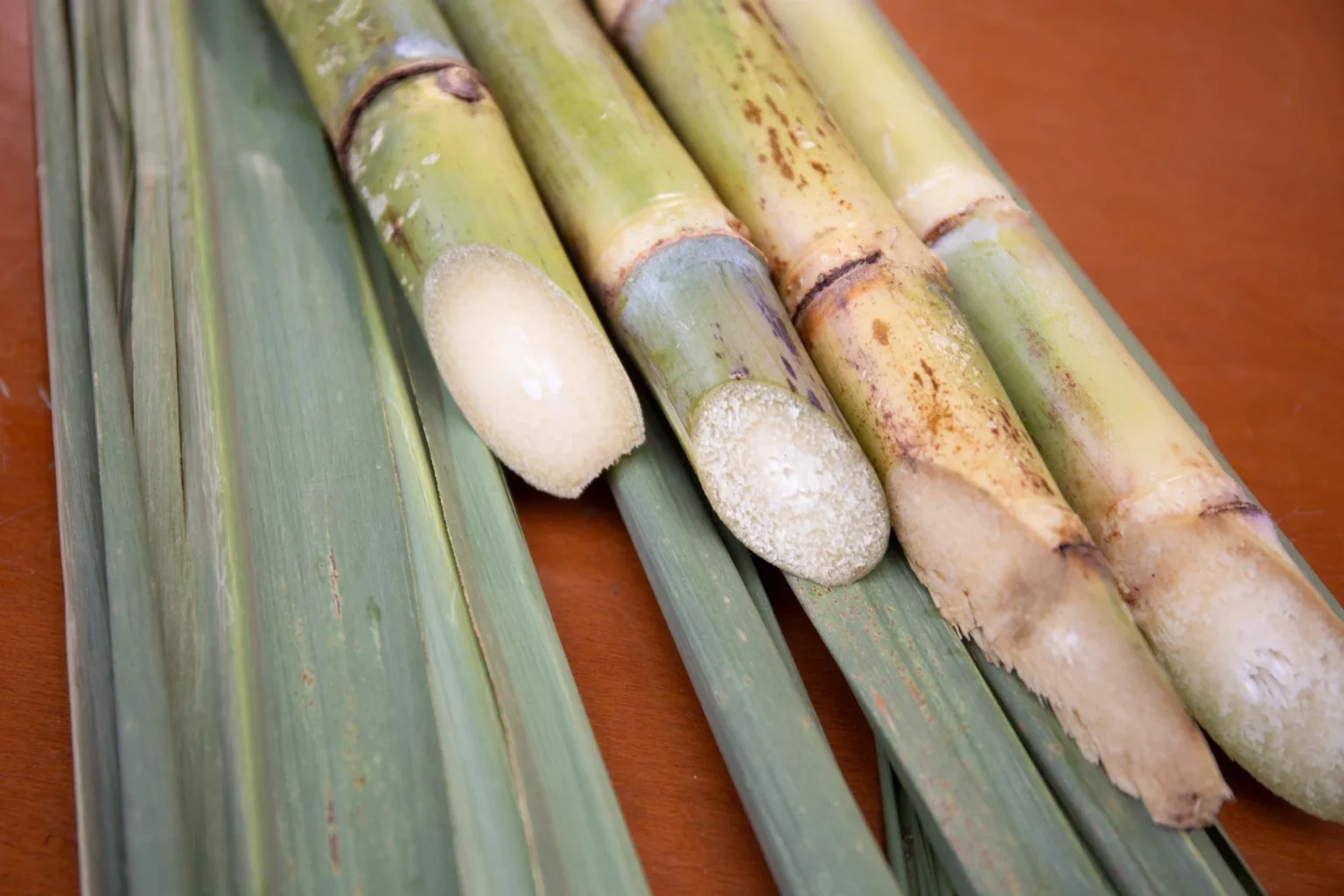 Agronegócio Paulista: Superávit de US$ 23 Bilhões em 2025