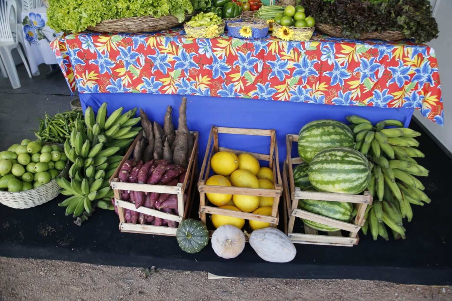 Circuito Estadual de Feiras do Agronegócio: Novas Oportunidades Para Sergipe Circuito Estadual de Feiras do Agronegócio: Novas Oportunidades Para Sergipe