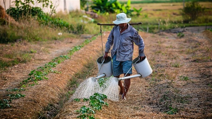 Desempenho do Agronegócio Esconde desafiadoras Realidades dos Produtores Rurais Desempenho do Agronegócio Esconde desafiadoras Realidades dos Produtores Rurais