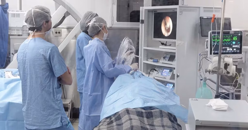 Desempenho dos Cursos de Medicina no Enamed: Resultados Reveladores