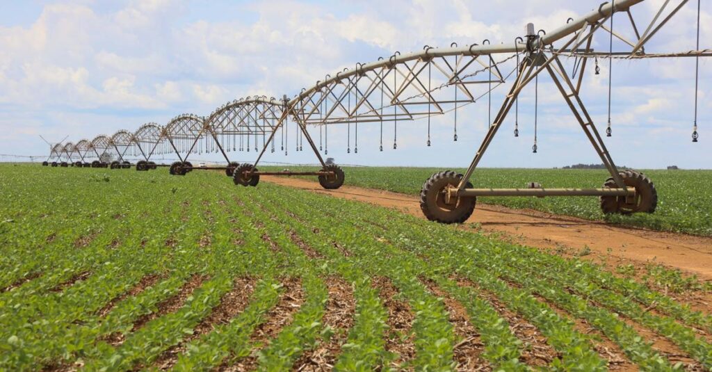 Exportações do Agronegócio Brasileiro Batem Recorde em 2025