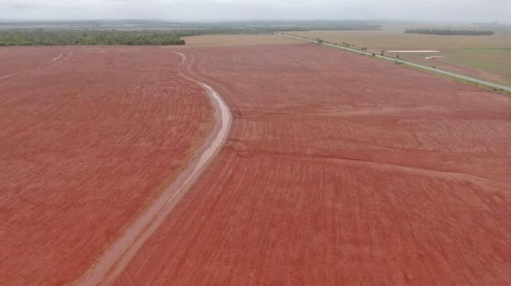 FCO Investe R$ 3,2 Bilhões em Mato Grosso do Sul: 75% Destinados ao Setor Rural