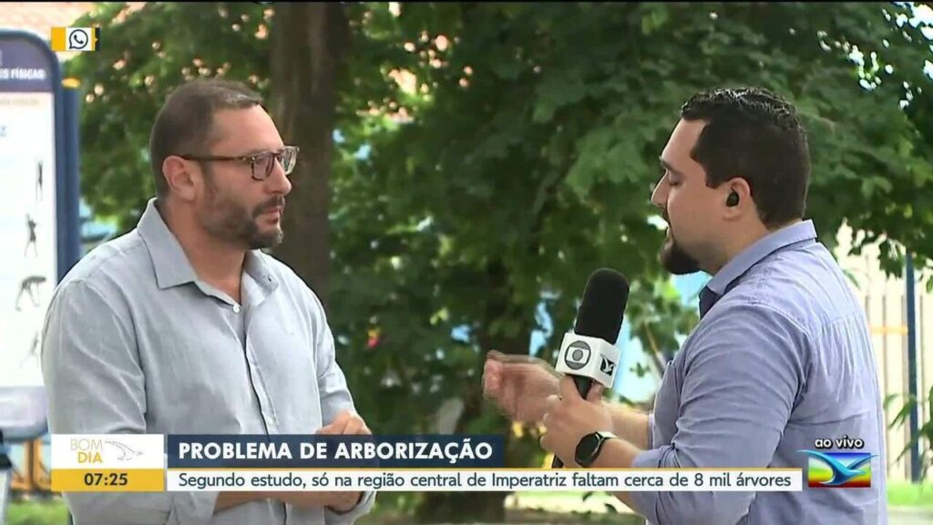 Imperatriz precisa plantar até 80 mil árvores para melhorar clima urbano