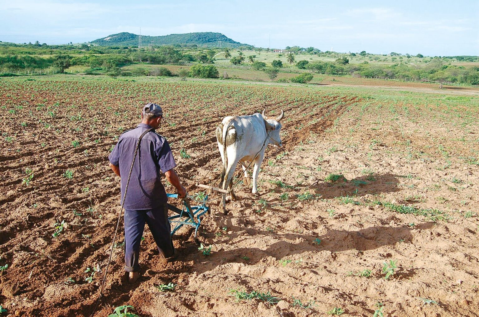 Inadimplência no Agronegócio do RN: 12,8% e 4º Lugar no Brasil