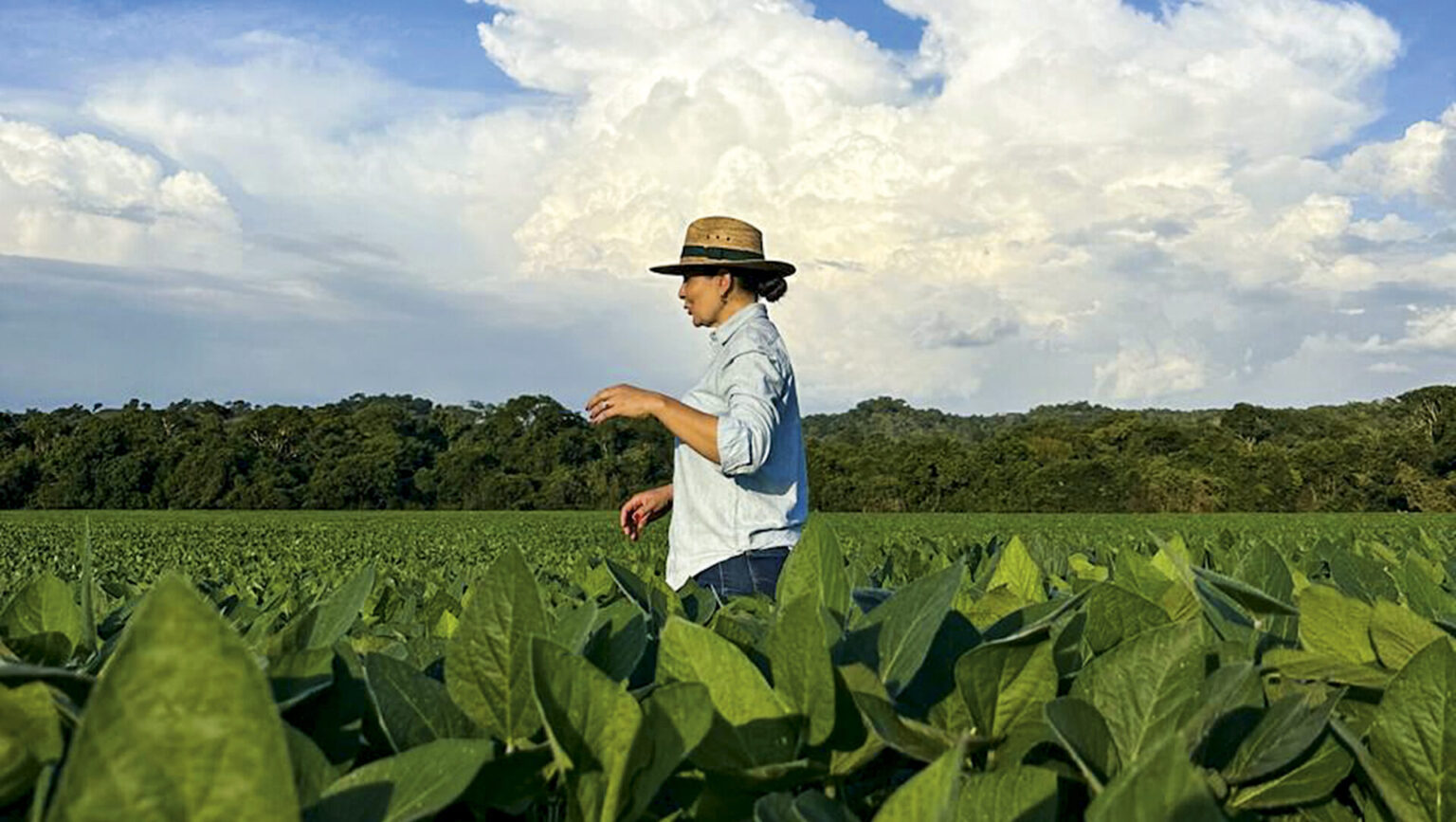 Inara Machado: A Inspiração da Avó e o Legado no Agronegócio