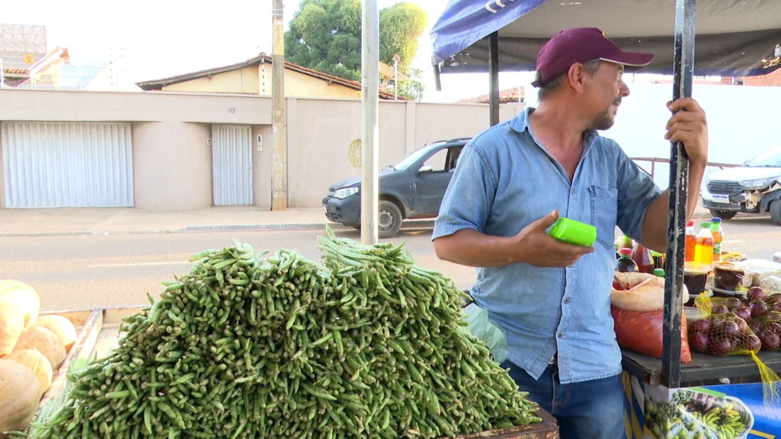 Jovem de Codó Transforma Pimenta em Negócio Lucrativo e Inspira Agricultores