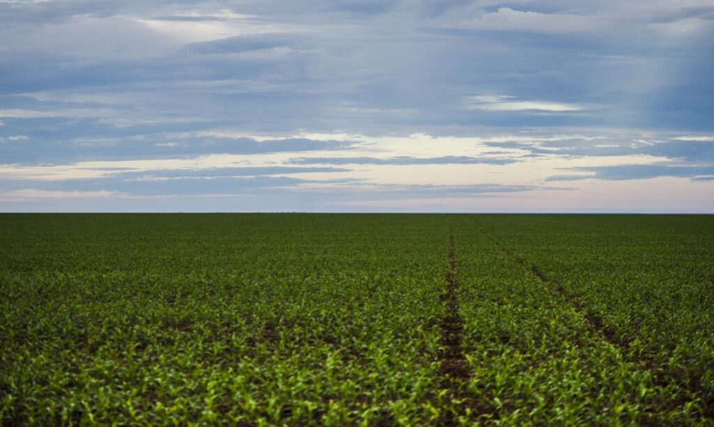 O Futuro do Agronegócio Brasileiro e Latino-Americano: Desafios e Oportunidades na Nova Era Internac