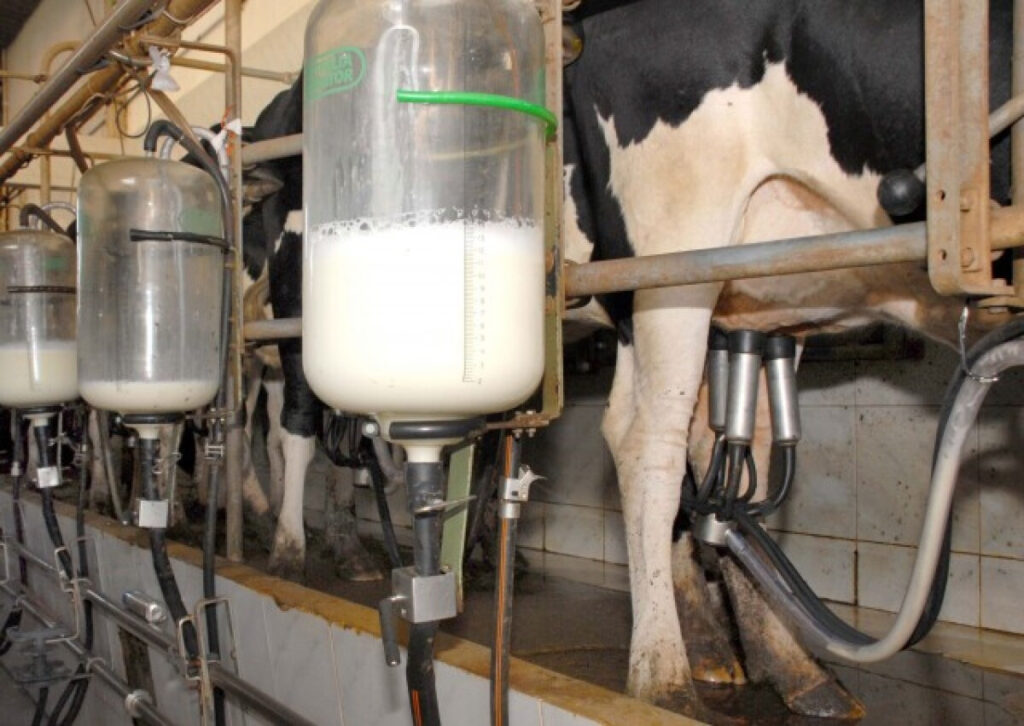 Pecuária Leiteira em 2026: Expectativas e Desafios Financeiros