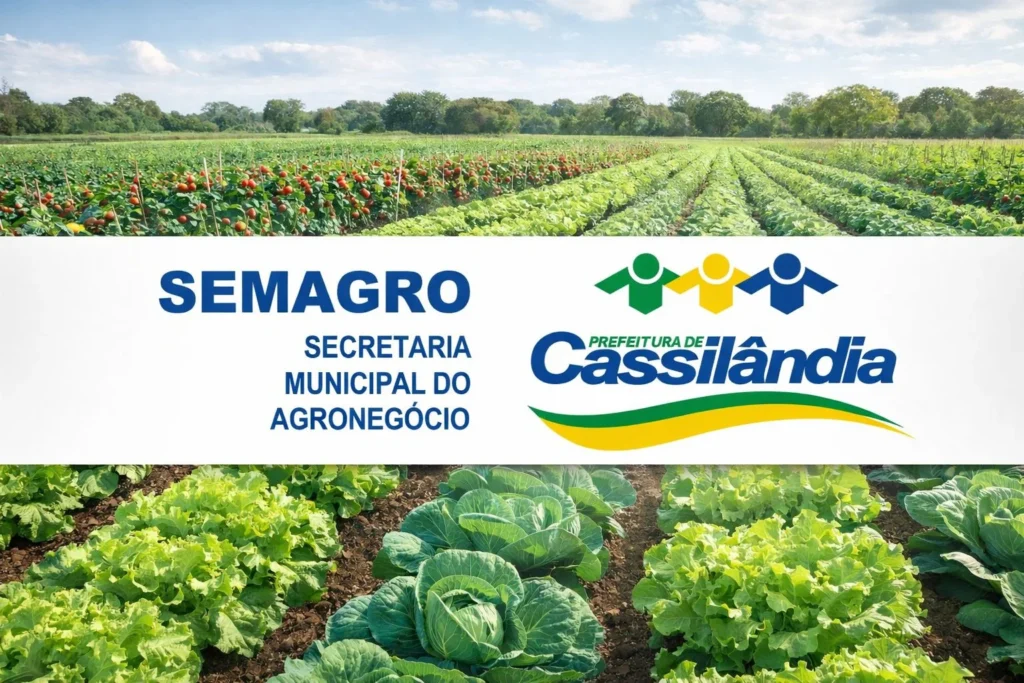 Pesquisa Revela Desafios do Mercado Hortifruti em Cassilândia