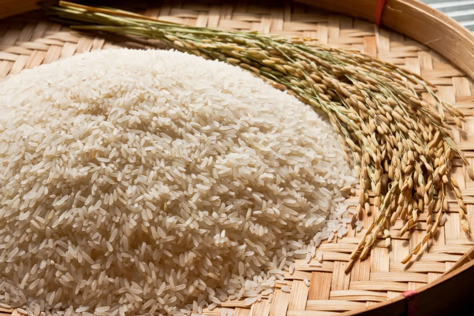 Projeção de Queda na Produção de Arroz: Brasil e Mundo Enfrentam Mudanças para 2025/26