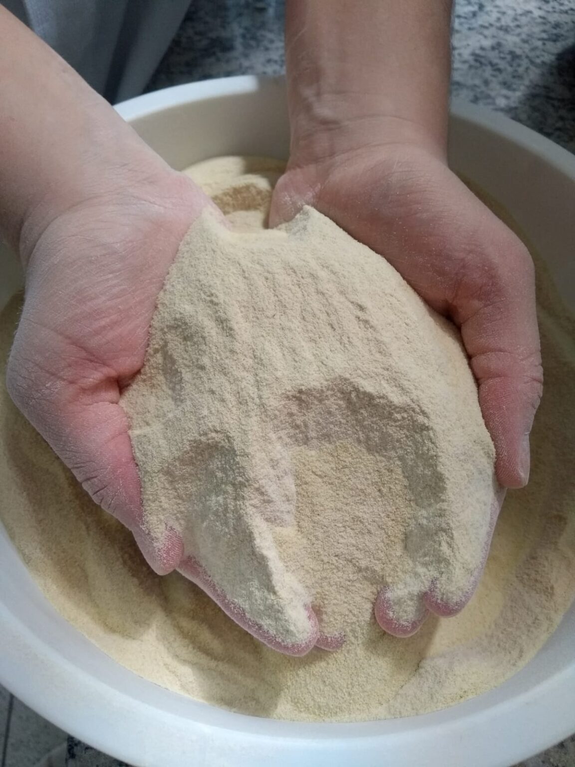 Tecnologia Inovadora transforma banana verde em amido para o Agronegócio