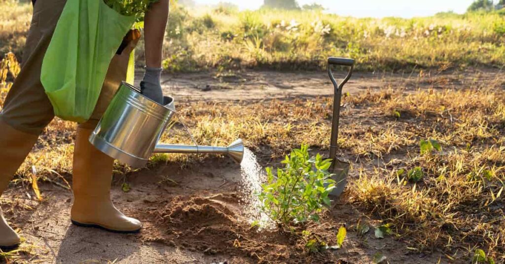 Aumento do Consumo Hídrico no Agronegócio: Um Desafio para as Cadeias de Carne e Soja