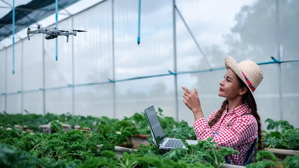 Avanço do Agronegócio Digital no Brasil: Desafios da Conectividade Rural