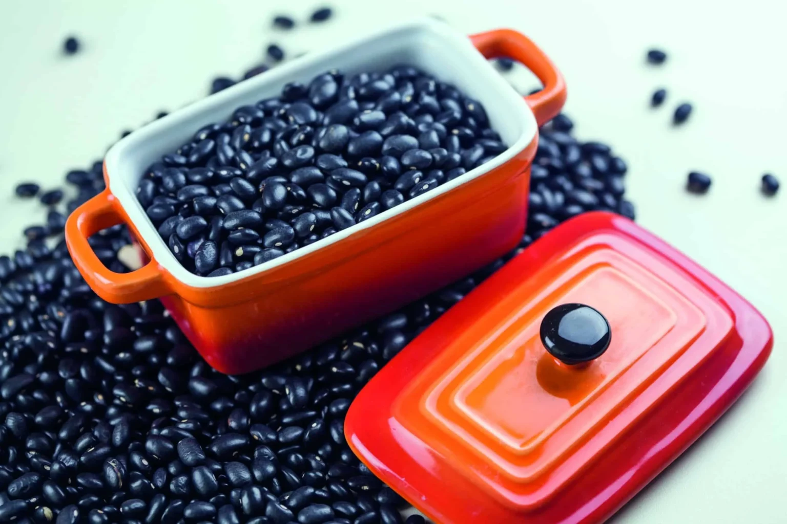 Cotações do Feijão Aumentam Consideravelmente no Fim de Janeiro