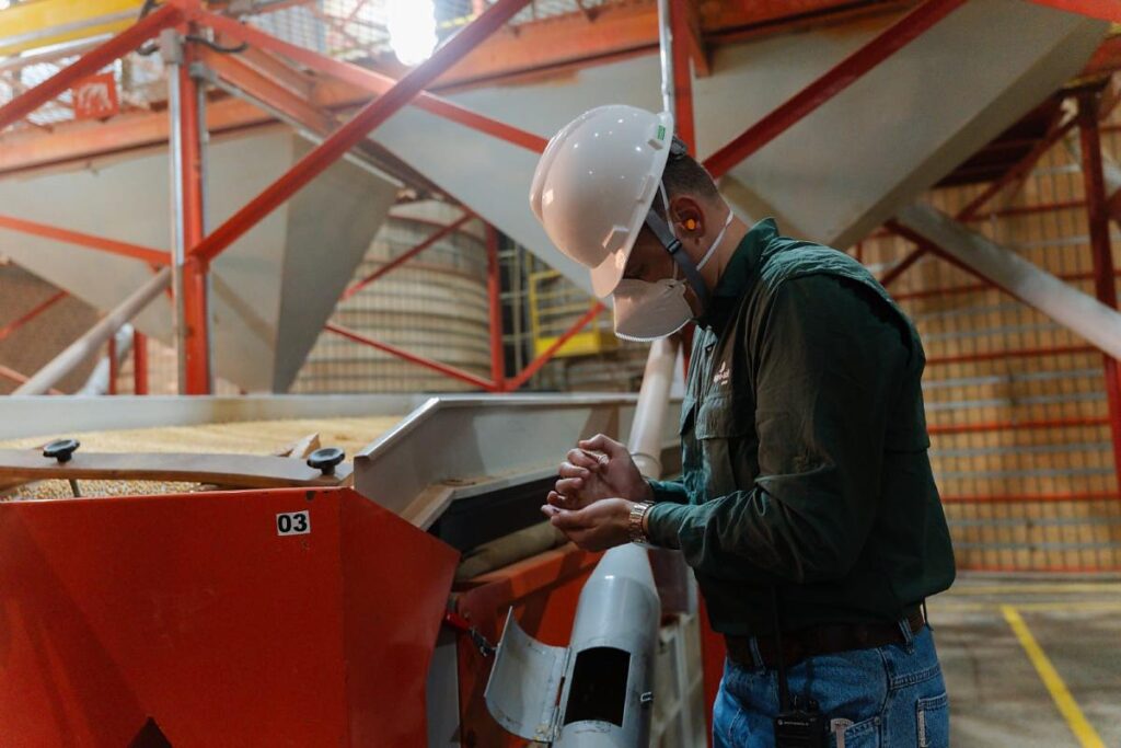 Fortalecimento da Safra de Sementes: A Importância do Beneficiamento de Soja em Mato Grosso