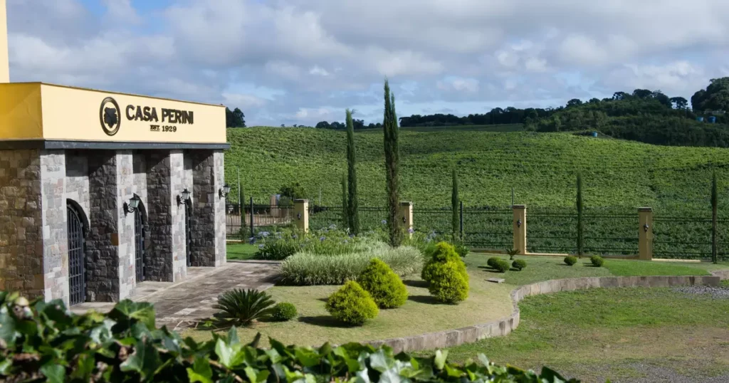 Imersão na Cultura da Colheita: Casa Perini Promove a Saga da Uva