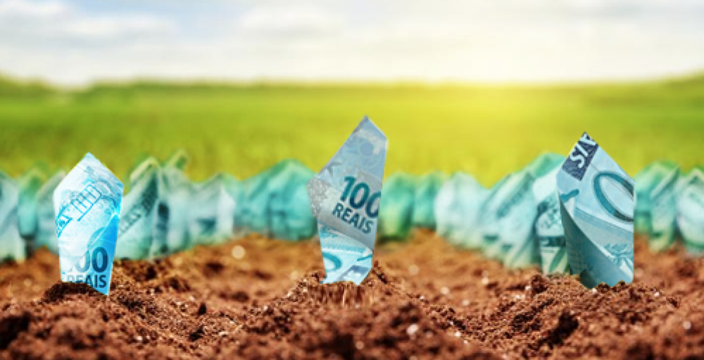 Mudanças no Sistema Financeiro Podem Aumentar Custo do Crédito e Afetar o Agronegócio Mudanças no Sistema Financeiro Podem Aumentar Custo do Crédito e Afetar o Agronegócio