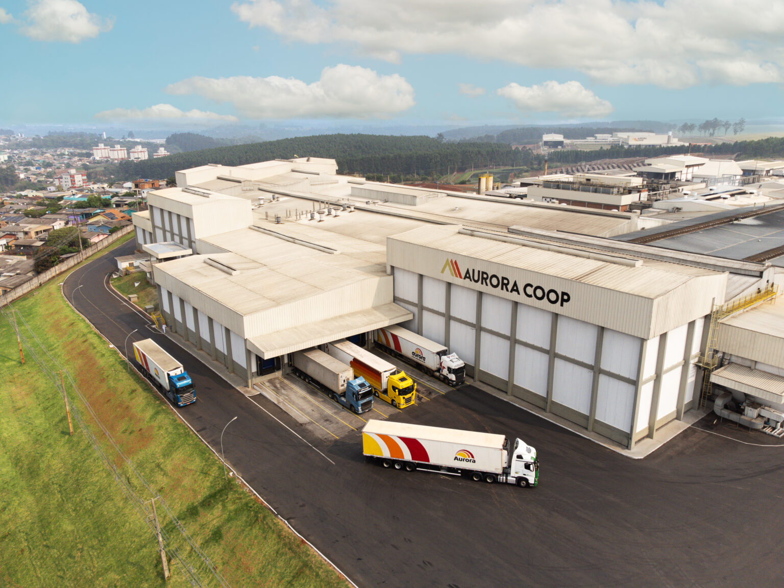 O Poder do Cooperativismo no Agronegócio Brasileiro: Gigantes em Ascensão O Poder do Cooperativismo no Agronegócio Brasileiro: Gigantes em Ascensão