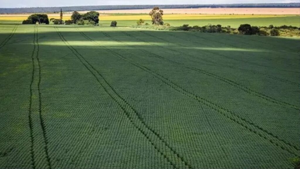 Bahia em Alerta: Tensão Internacional Impacta o Agronegócio Bahia em Alerta: Tensão Internacional Impacta o Agronegócio