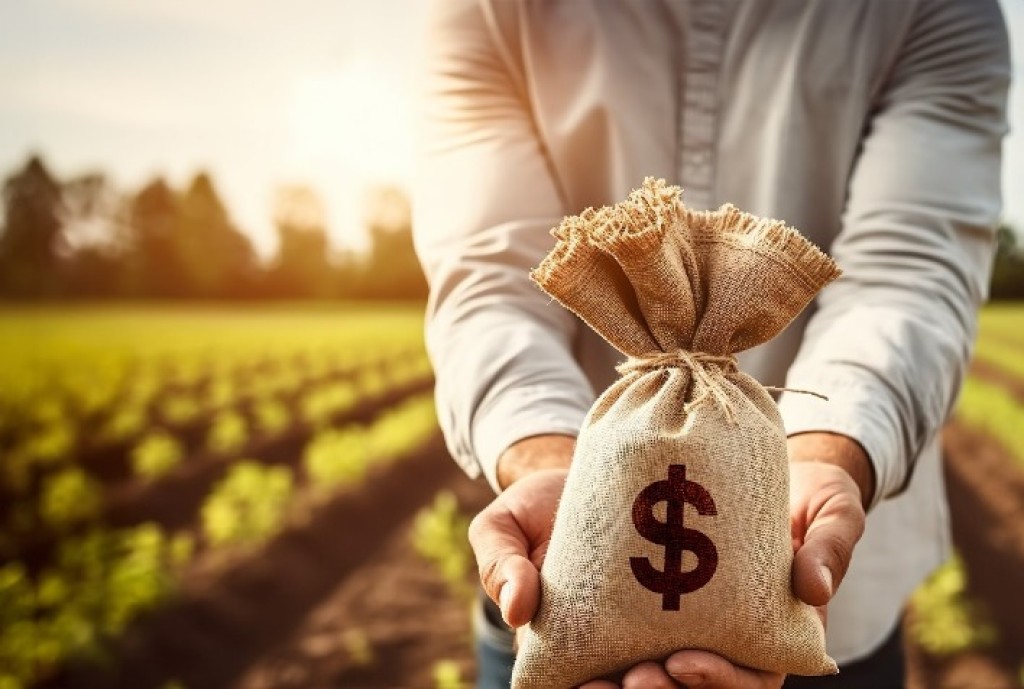 Crédito no Agronegócio: Armadilha Financeira e Fragilidade do Setor Crédito no Agronegócio: Armadilha Financeira e Fragilidade do Setor