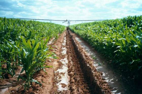 Governo de SP Fortalece Fundo do Agronegócio com Novo Projeto de Lei Governo de SP Fortalece Fundo do Agronegócio com Novo Projeto de Lei