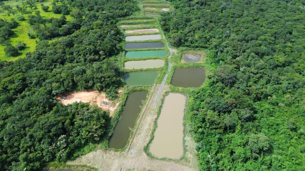 Inovação no Agronegócio: Nova Unidade da Embrapa Fortalece Agricultura Familiar em Mato Grosso Inovação no Agronegócio: Nova Unidade da Embrapa Fortalece Agricultura Familiar em Mato Grosso
