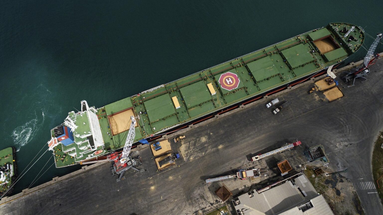 Mudanças nas Regras de Inspeção da Soja: Ministério da Agricultura Responde às Tradings