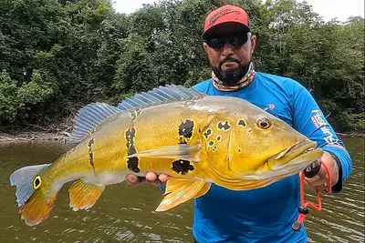 Pará Regulamenta Pesca Esportiva e Avança na Política Ambiental Pará Regulamenta Pesca Esportiva e Avança na Política Ambiental