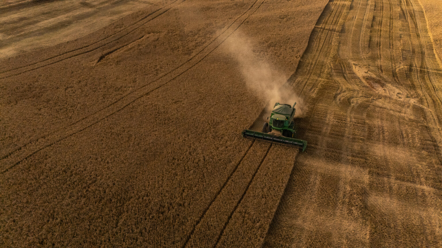 Produção de Cevada no Brasil: Crescimento, Desafios e Oportunidades