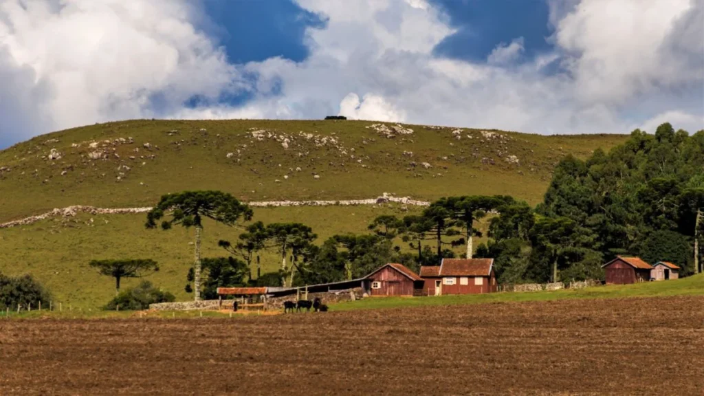 Abuso Patrimonial no Agronegócio: Um Crime Silencioso Que Ameaça Famílias e Propriedades