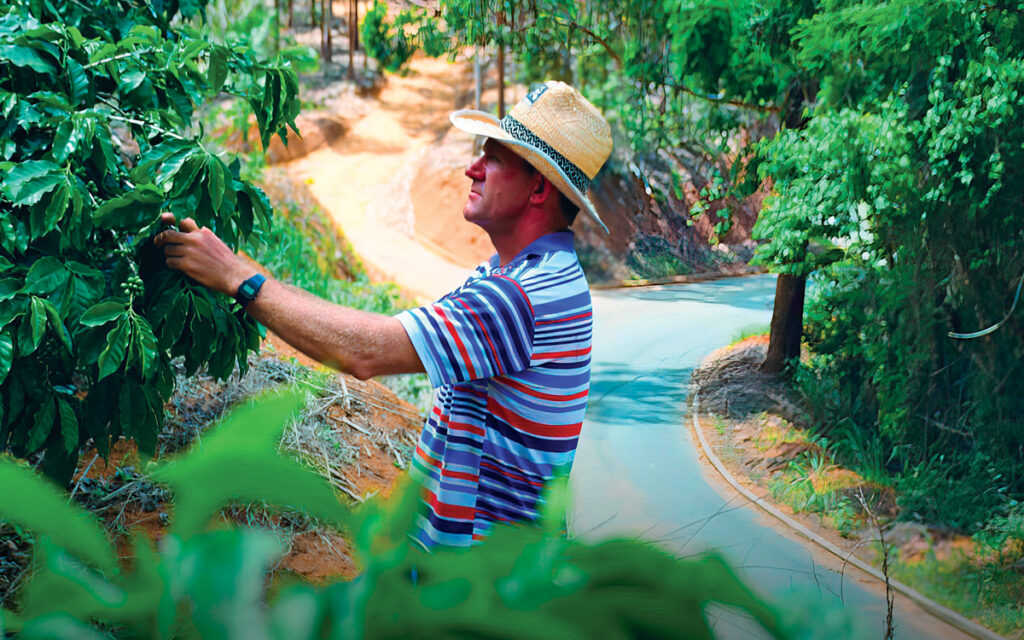 Agronegócio Capixaba: Pilar da Economia do Espírito Santo em 2024