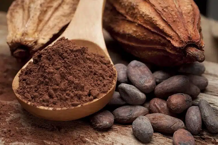Como Produzir Chocolate: Guia Completo do Senar para Cacauicultores Como Produzir Chocolate: Guia Completo do Senar para Cacauicultores