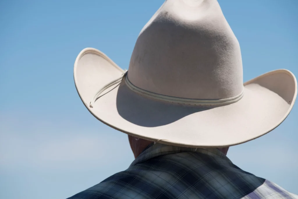 Conflito de Interesses: Agronegócio e Energia Tentam Reverter Criação do Parque Nacional do Albardão Conflito de Interesses: Agronegócio e Energia Tentam Reverter Criação do Parque Nacional do Albardão