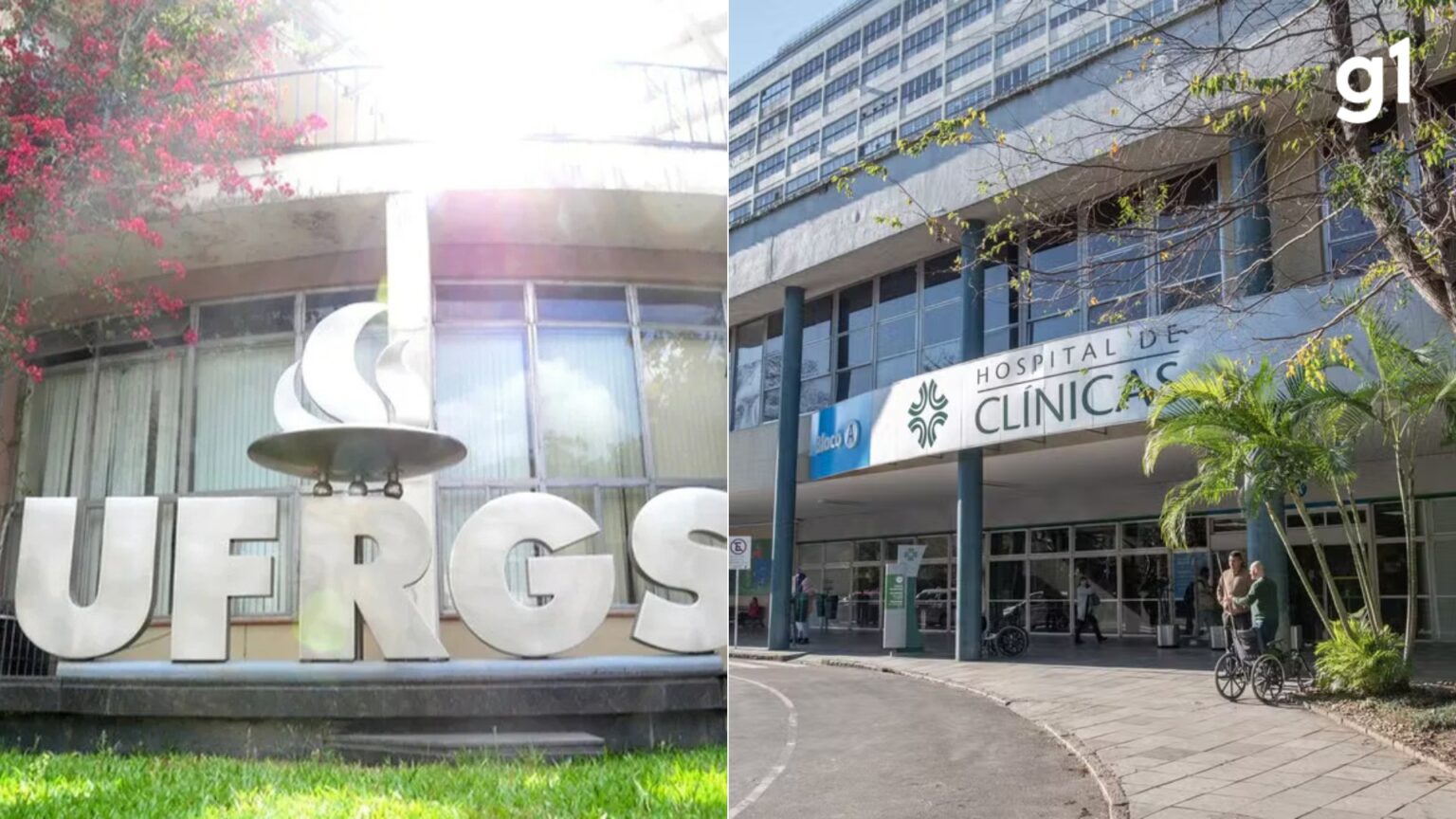 Desigualdade de Gênero Impacta a Saúde Mental das Crianças, Revela Estudo de 20 Anos