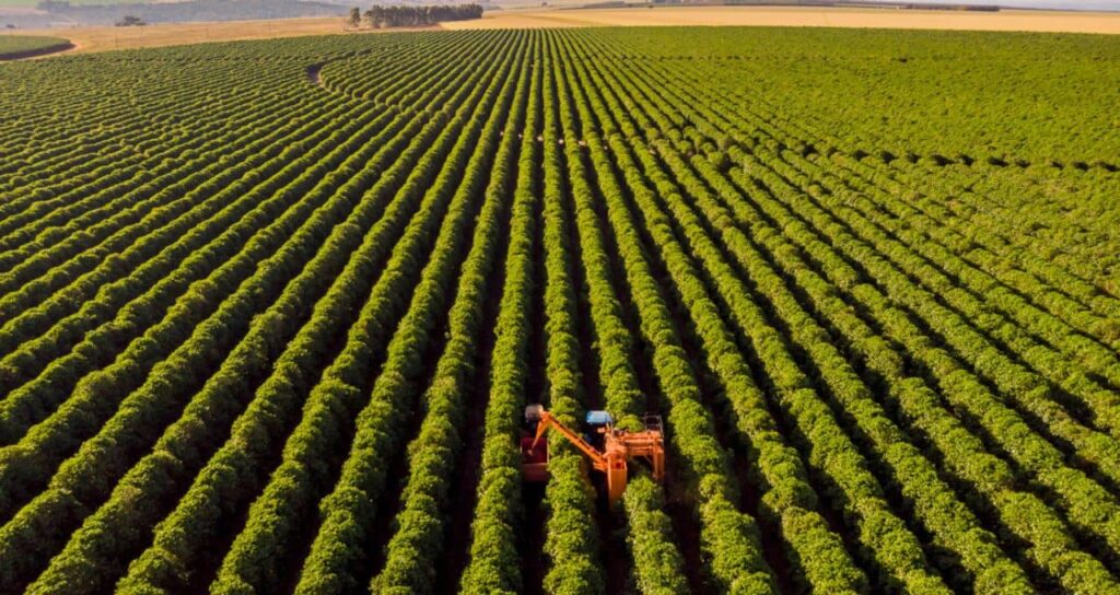 Inadimplência no Agronegócio: Perspectivas do Banco do Brasil (BBAS3) em Análise Crítica Inadimplência no Agronegócio: Perspectivas do Banco do Brasil (BBAS3) em Análise Crítica