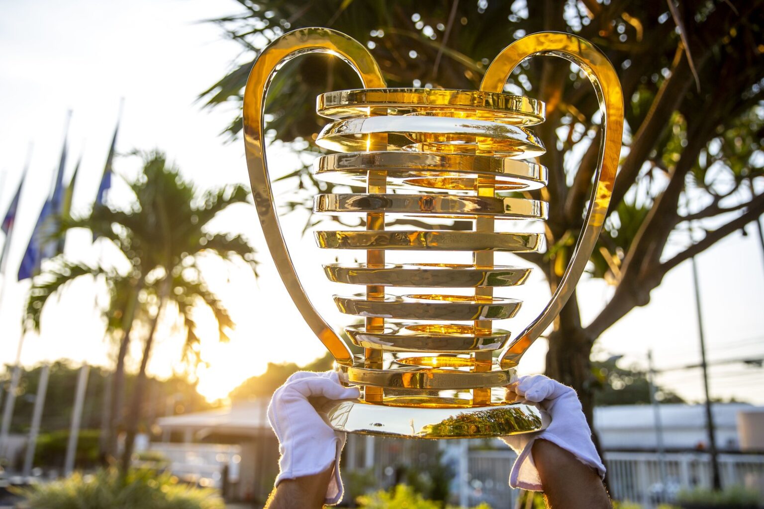 Maioria dos Internautas Acredita na Vitória do MAC sobre o Imperatriz no Frei