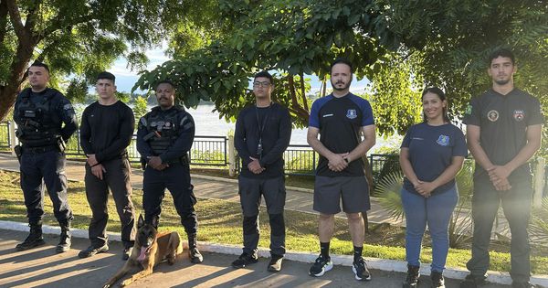 Nova Adição à Guarda Municipal de Imperatriz: Conheça o K9 Krypto Nova Adição à Guarda Municipal de Imperatriz: Conheça o K9 Krypto