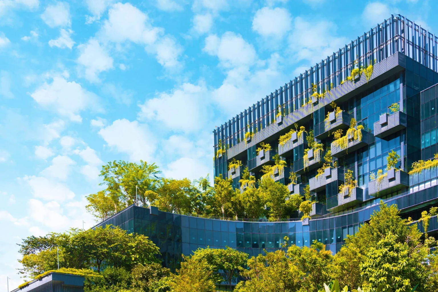 Práticas ESG no Agronegócio: Potencial de R$ 247 Bilhões para a Economia Brasileira