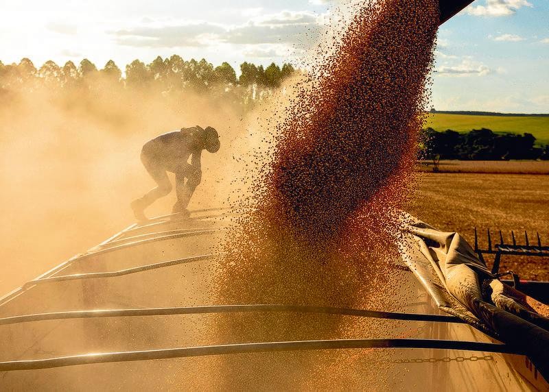 Práticas Sustentáveis Impulsionam o Agronegócio Brasileiro Práticas Sustentáveis Impulsionam o Agronegócio Brasileiro