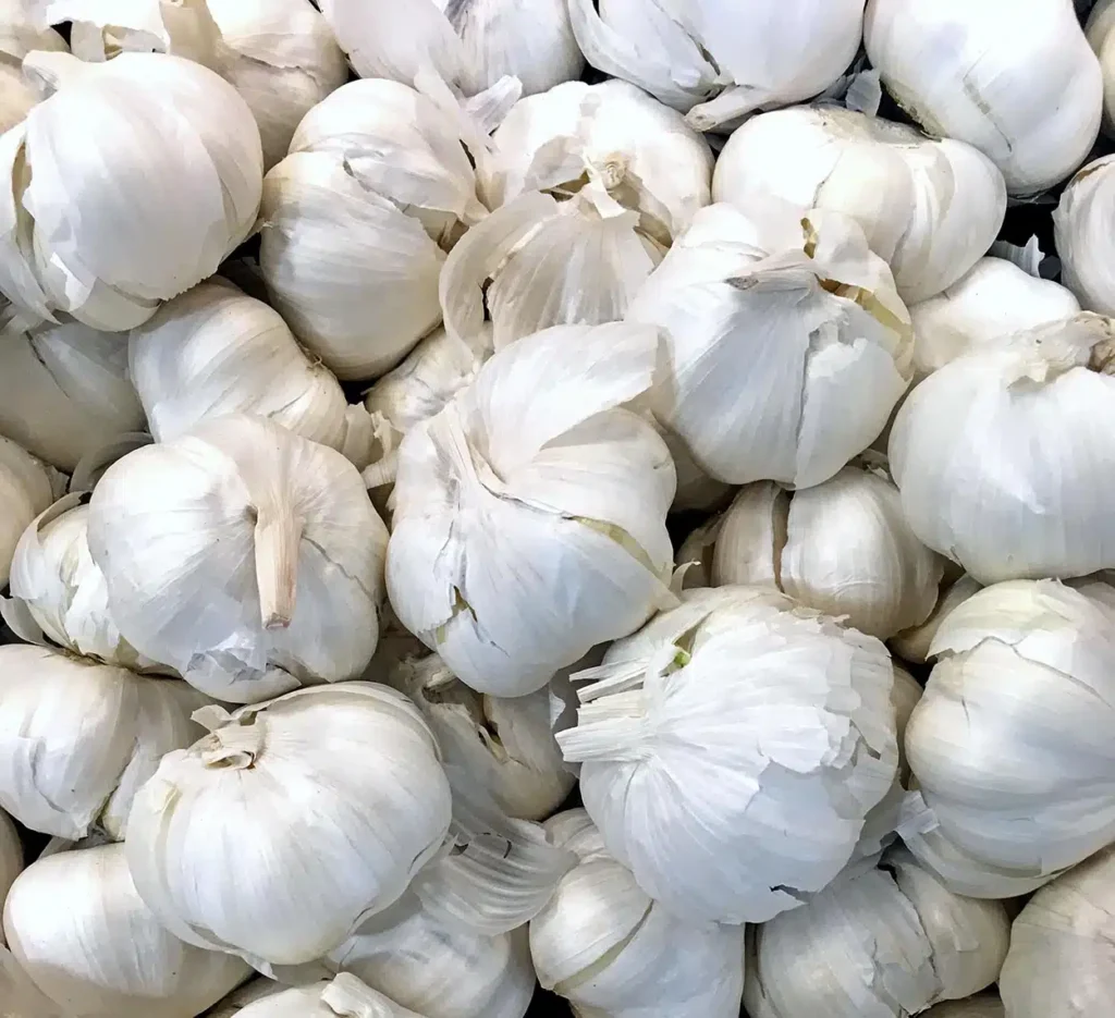 Produção de Alho no Brasil Enfrenta Desafios com Importações Crescentes