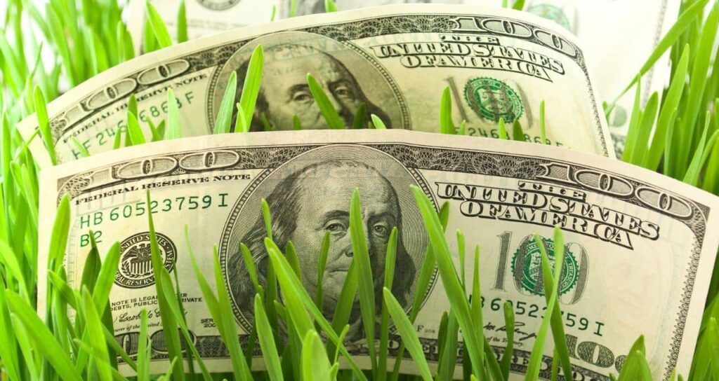 Recuperações Judiciais no Agronegócio: Apressadas e com Consequências