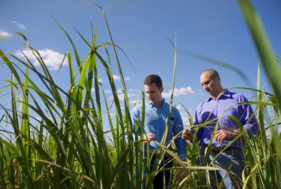 Bayer Lança Fundo de R$ 500 Milhões para Impulsionar Descarbonização no Agronegócio Bayer Lança Fundo de R$ 500 Milhões para Impulsionar Descarbonização no Agronegócio