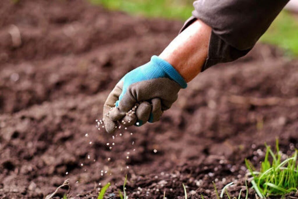 Conflito no Irã Eleva Preços de Fertilizantes e Impacta Agronegócio Brasileiro
