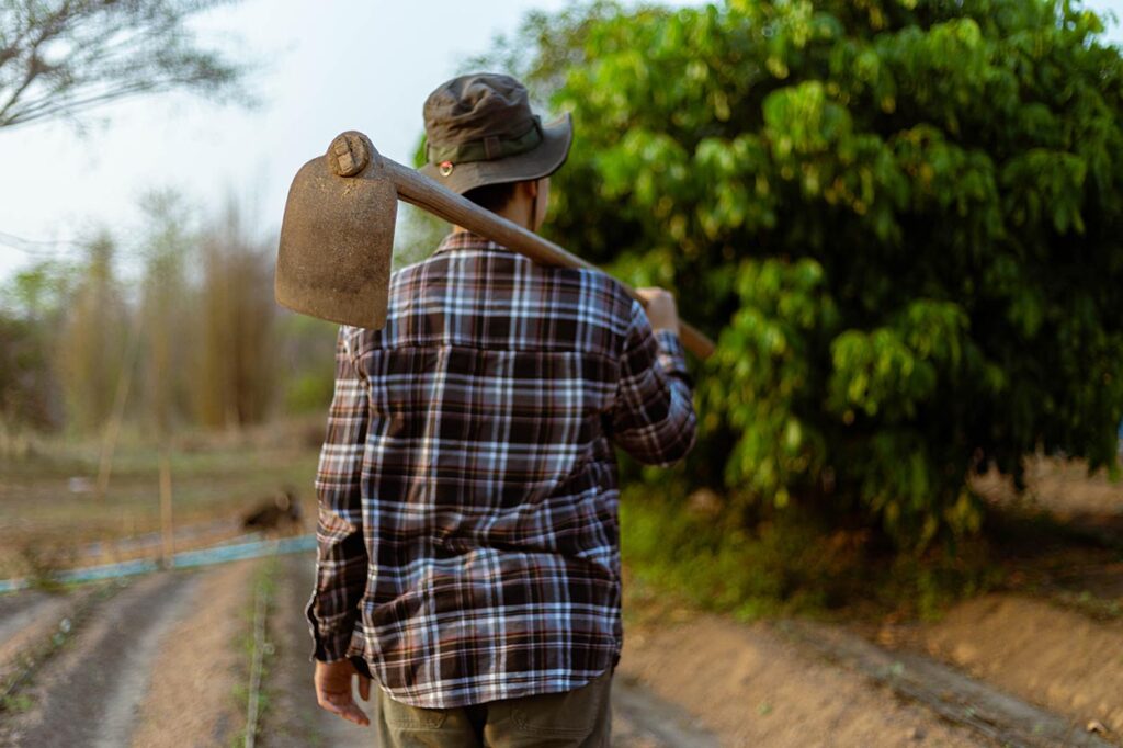 Crescimento do Agronegócio: Recorde de Empregos no Setor em 2025